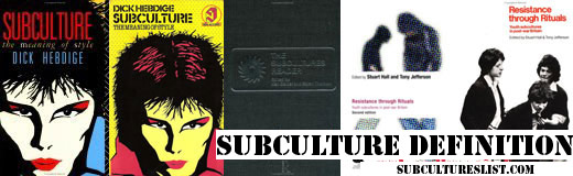 Subculture Definition Define Subculture Definition Of Subculture